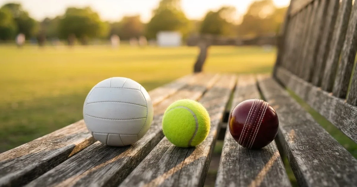 Three balls of different kinds side by side on a wooden bench